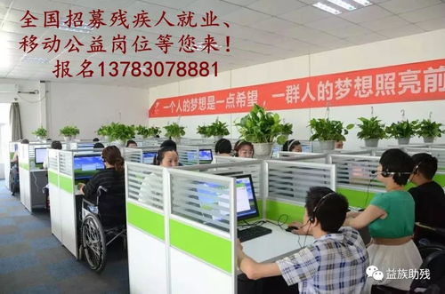 數字賦能，共創未來 電子商務為殘疾人群體帶來的新機遇與信息咨詢服務支持